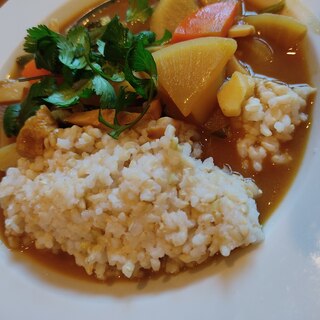 パクチーと根菜の和風カレーライス